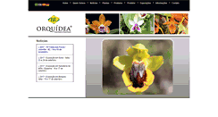 Desktop Screenshot of br-orquidea.com